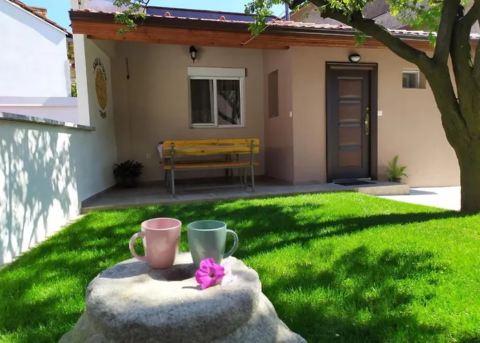 фолис Kjustendil